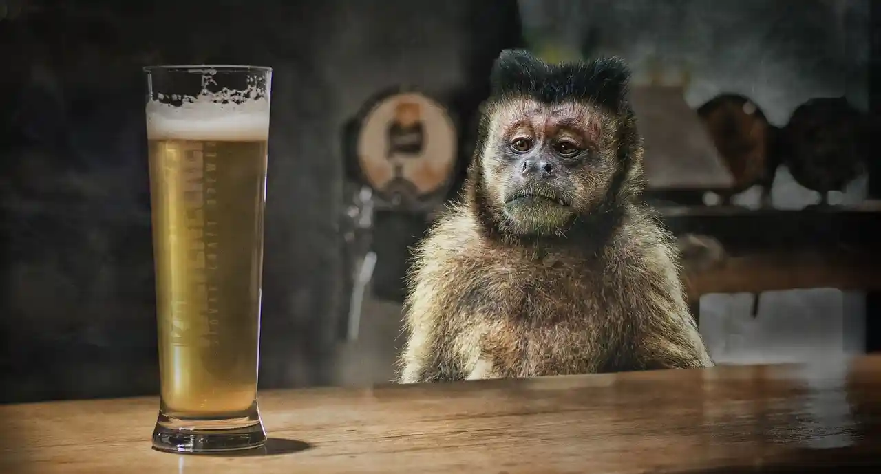 Premier Bars at work