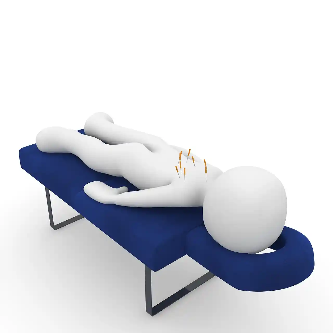 Premier Physical Therapy at work