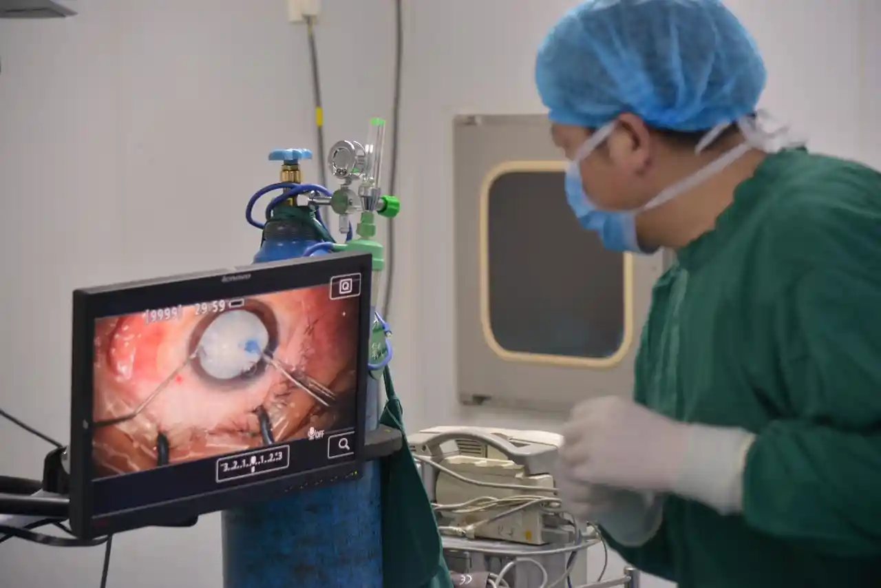 Premier Plastic Surgery at work