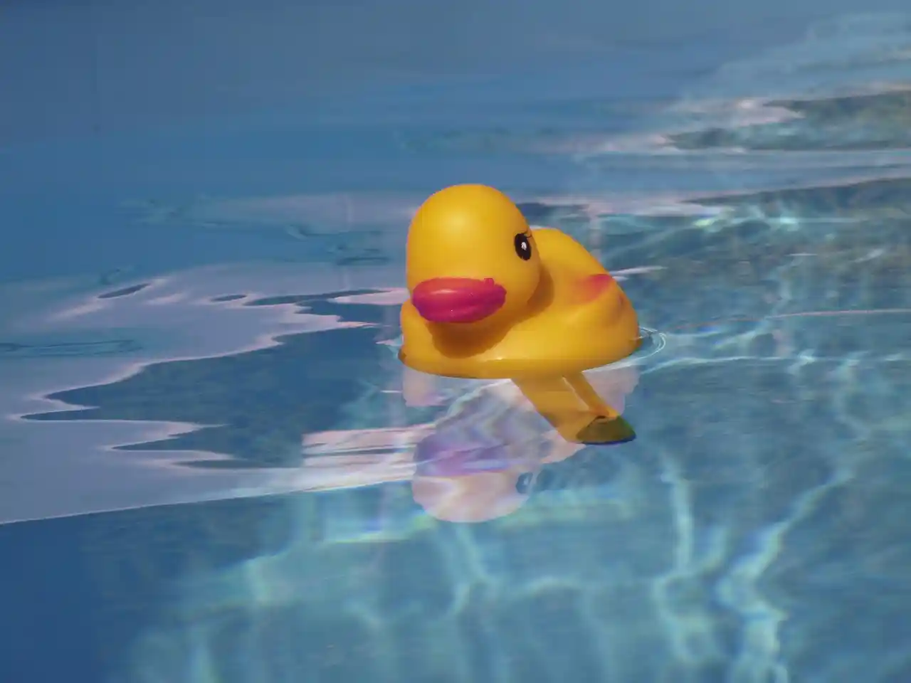 Premier Public Swimming Pools at work