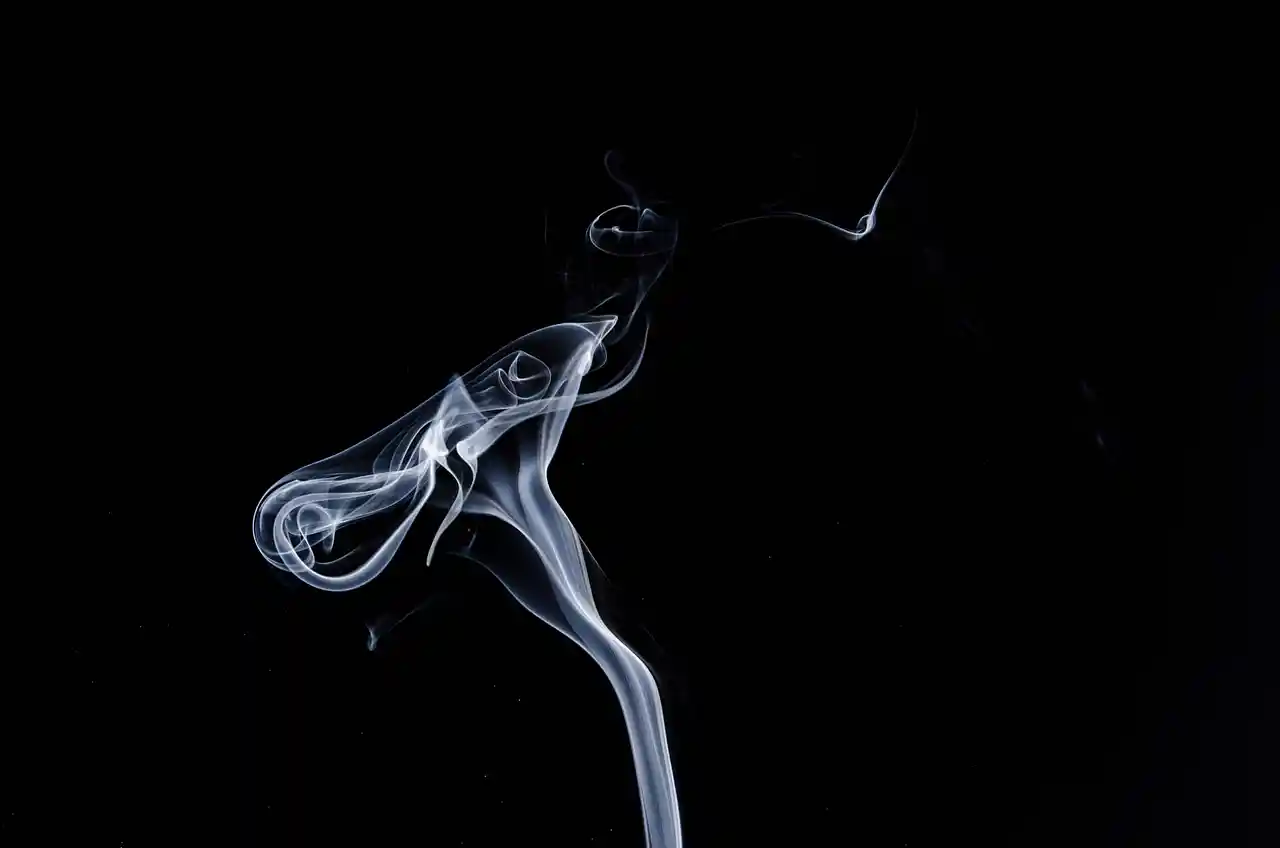 Premier Smoke Shops at work