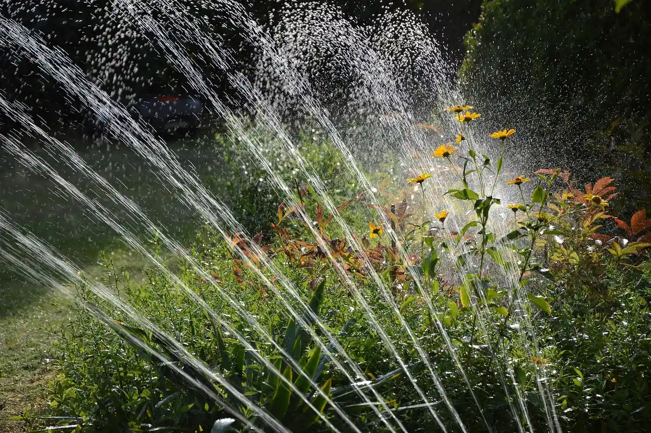 Premier Sprinkler System at work