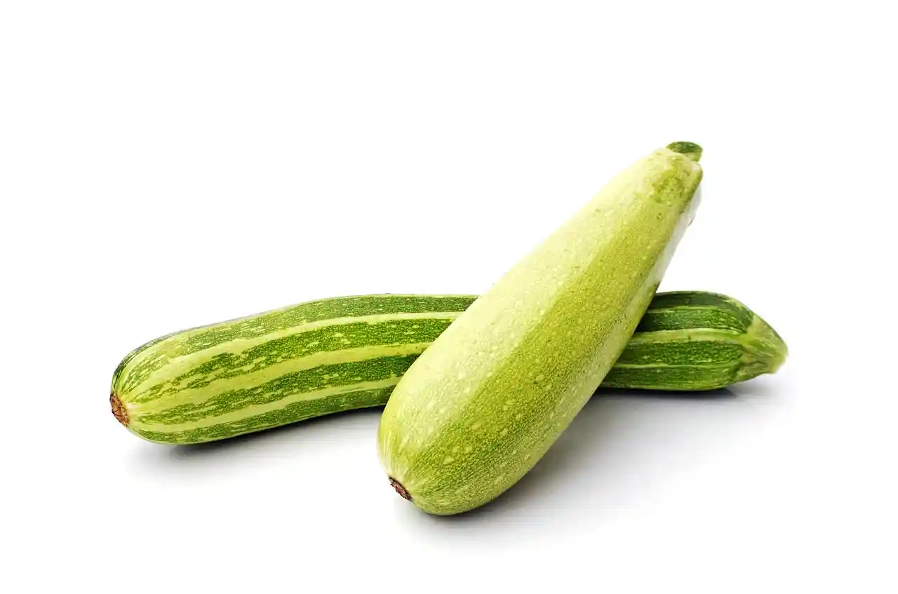 Premier Vegetarian Restaurants at work