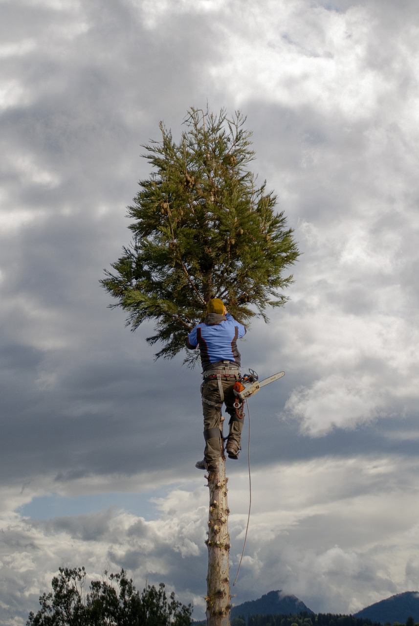 Arborists