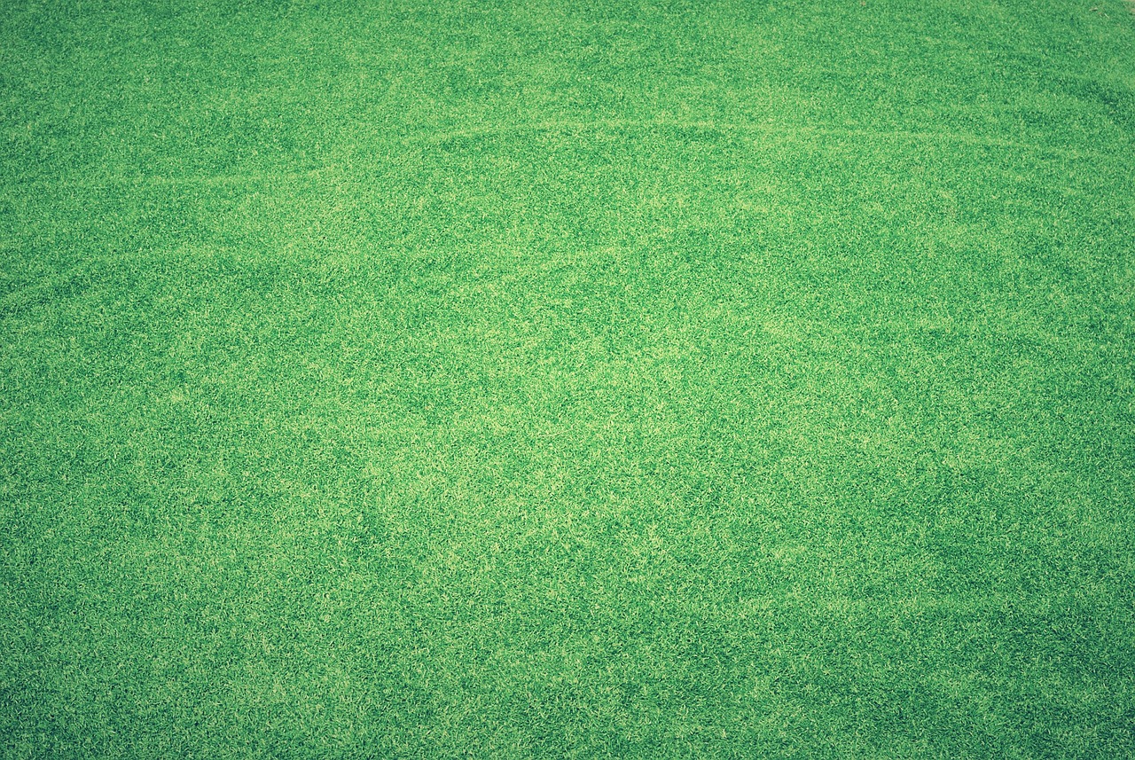 Artificial Grass