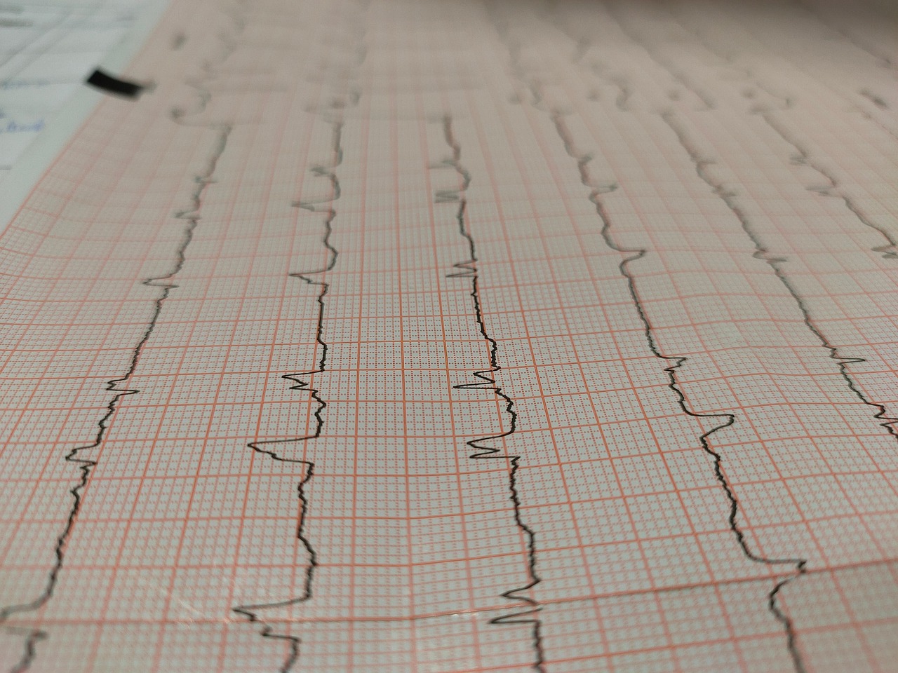 Cardiologists